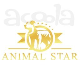 Школа груминга AnimalStar